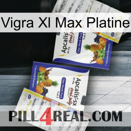 Vigra Xl Max Platinum 12
